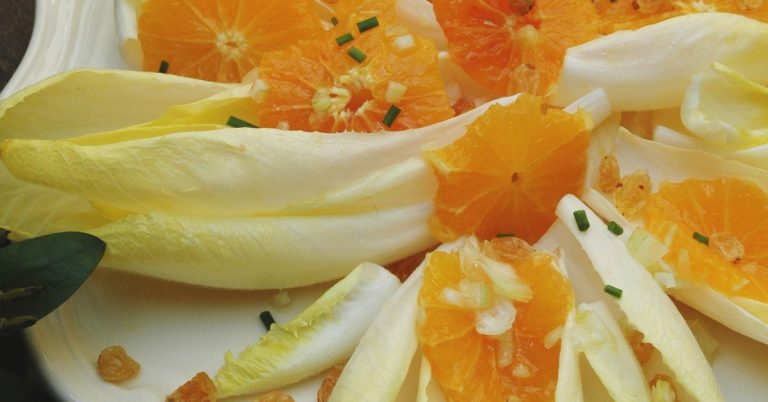 salade fraîche d'endives et oranges